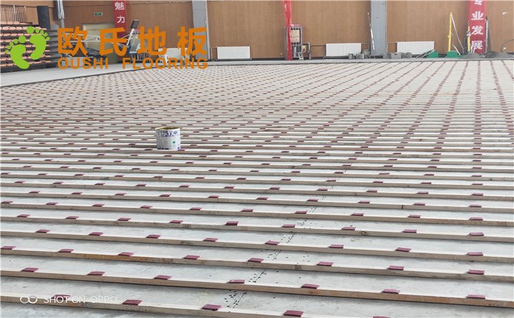 西寧市世紀(jì)職業(yè)技術(shù)學(xué)?；@球訓(xùn)練館木地板圖片