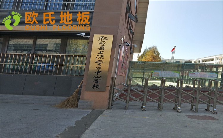 安徽合肥肥西縣上派中心學(xué)校體育館木地板案例