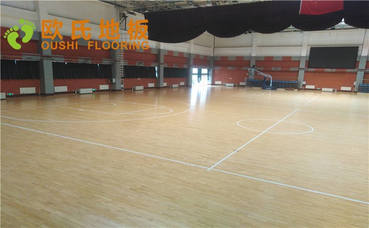 北京市亞洲殘疾人體育訓(xùn)練中心木地板圖片